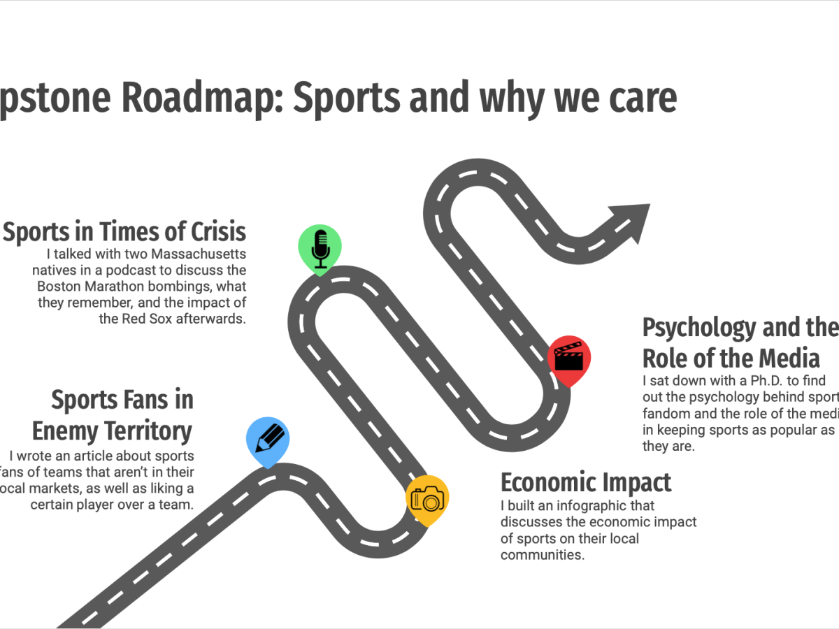Why sports? An investigation into why we love&nbsp;them